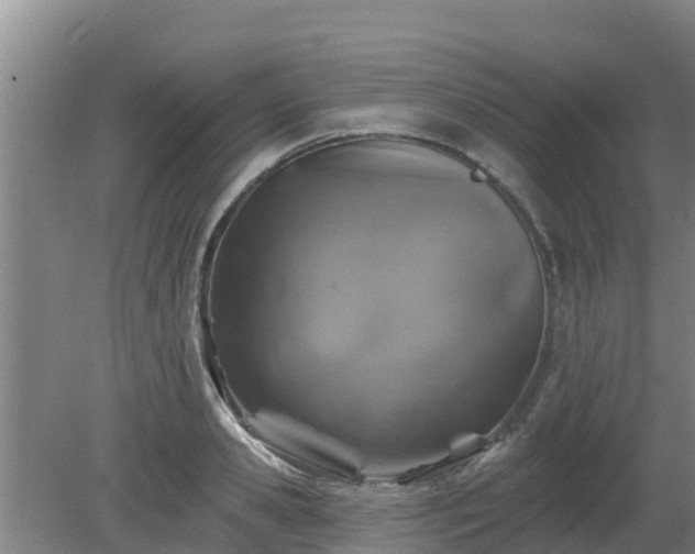 X0000080180941200612151945