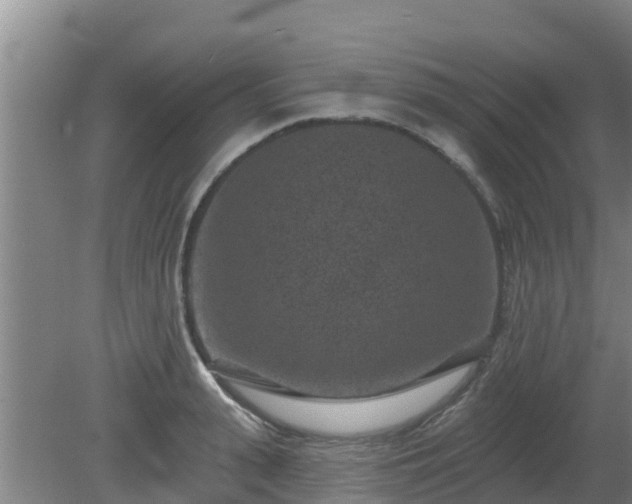 X0000080180943200612151945