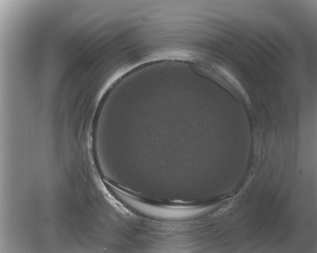 X0000080180944200612151945