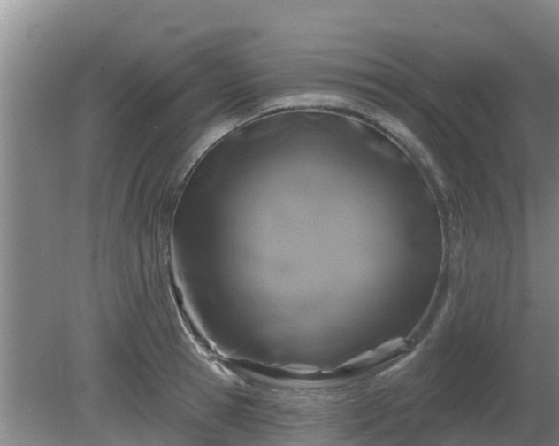 X0000080180945200612151945