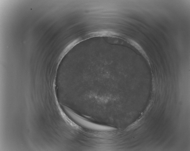 X0000080180946200612151945