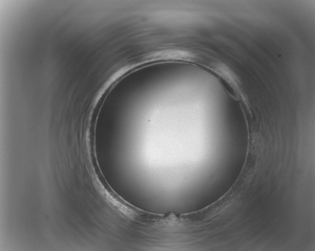 X0000080180947200612151945