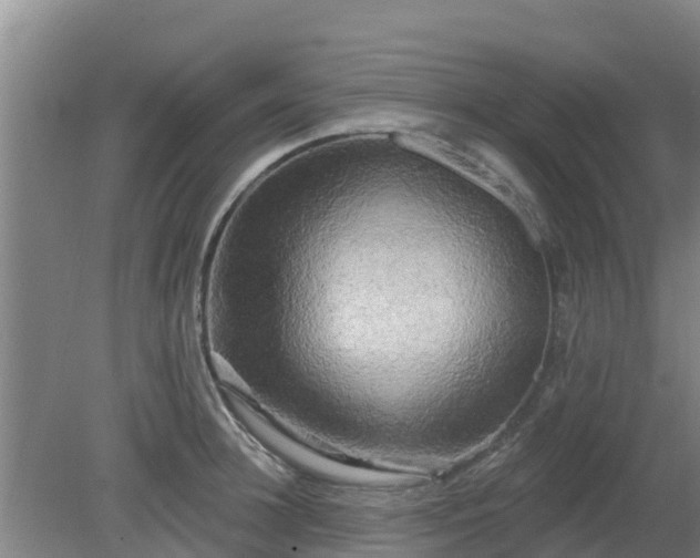 X0000080180948200612151945