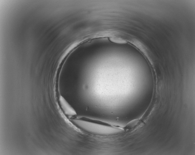 X0000080180949200612151945