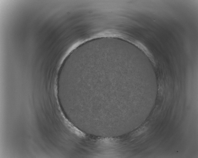 X0000080180950200612151945