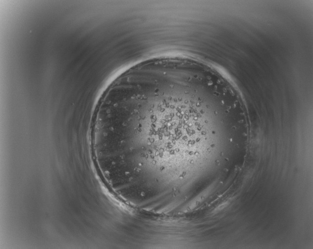 X0000080180951200612151945