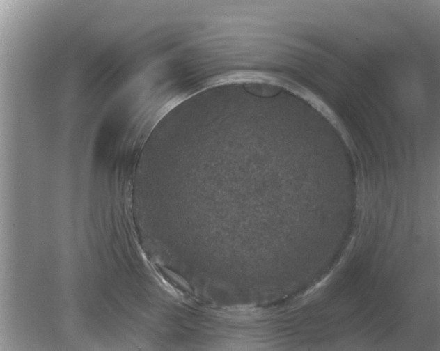 X0000080180953200612151945