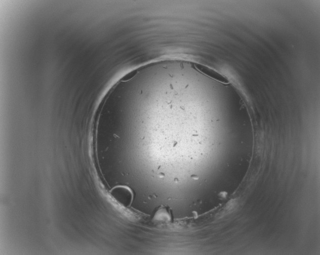 X0000080180955200612151945