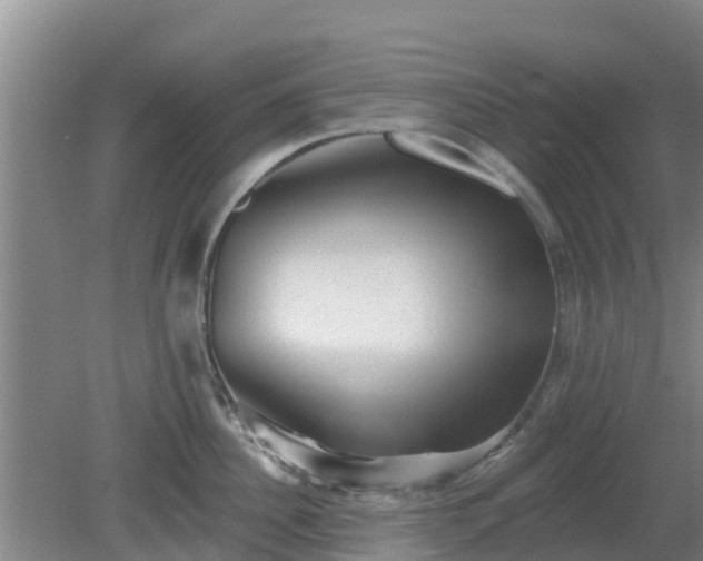 X0000080180956200612151945