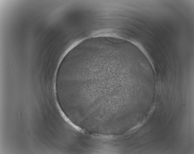 X0000080180957200612151945