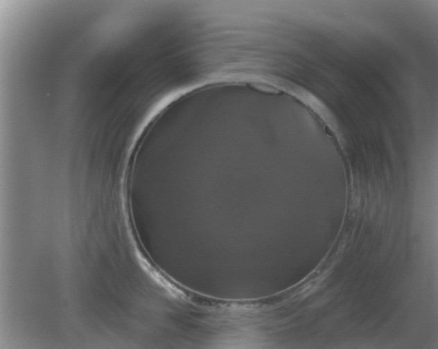 X0000080180958200612151945