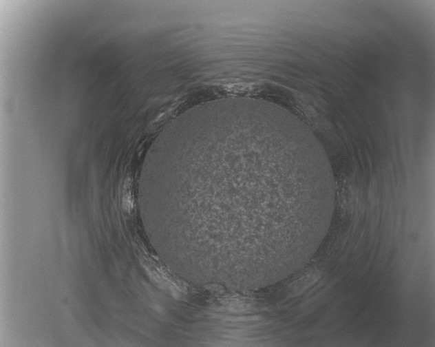 X0000080180962200612151944