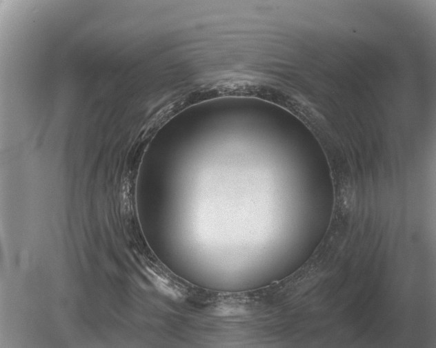 X0000080180964200612151944