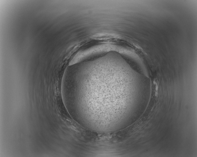 X0000080180965200612151944