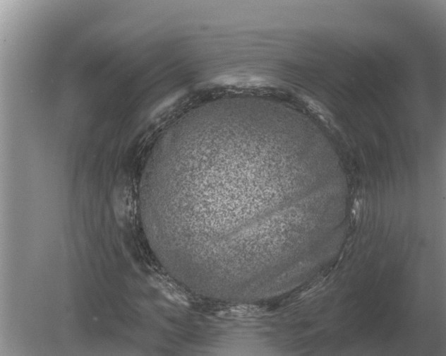 X0000080180966200612151944