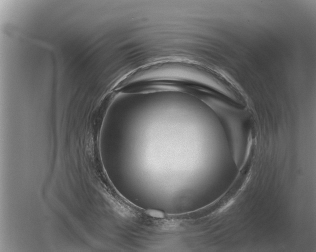 X0000080180969200612151944