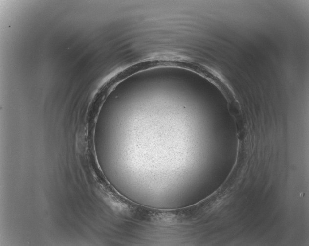 X0000080180971200612151944