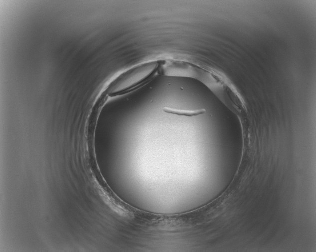 X0000080180972200612151944