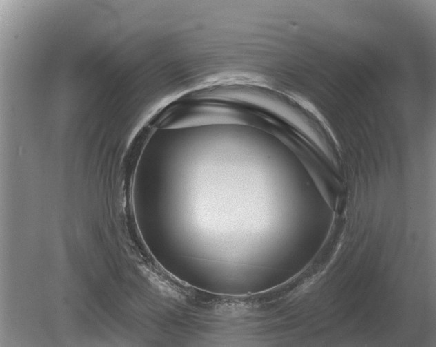 X0000080180973200612151944