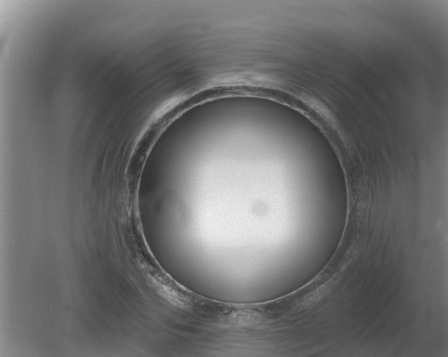 X0000080180974200612151944