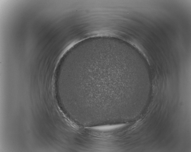 X0000080180975200612151944