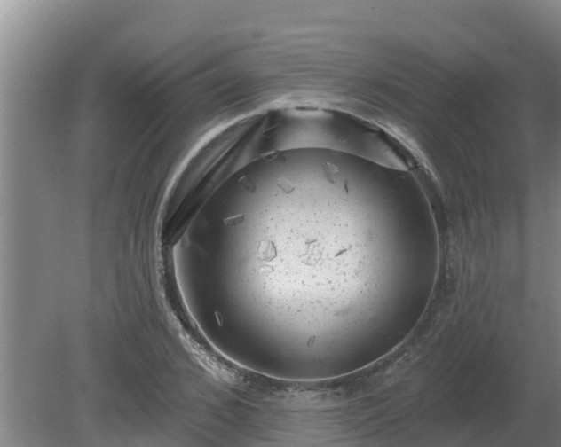 X0000080180976200612151944