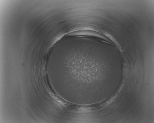 X0000080180977200612151944