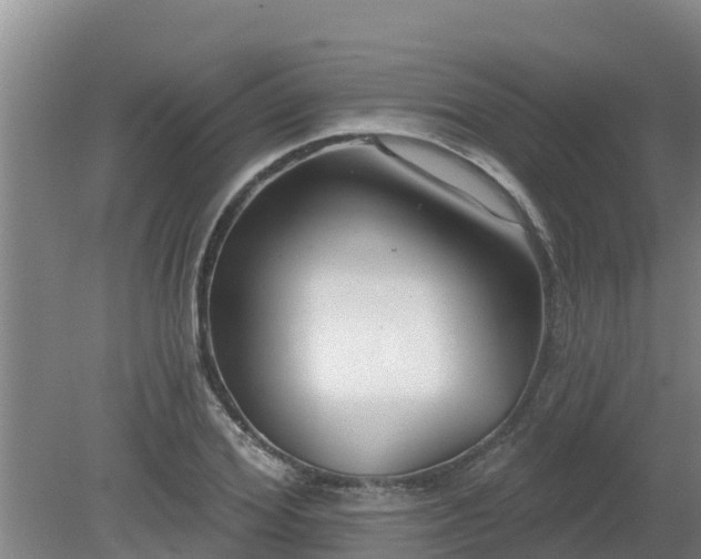 X0000080180980200612151944