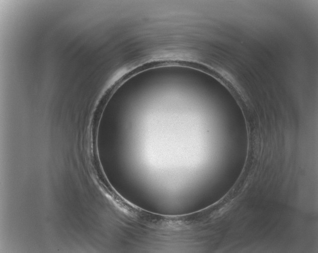 X0000080180982200612151944