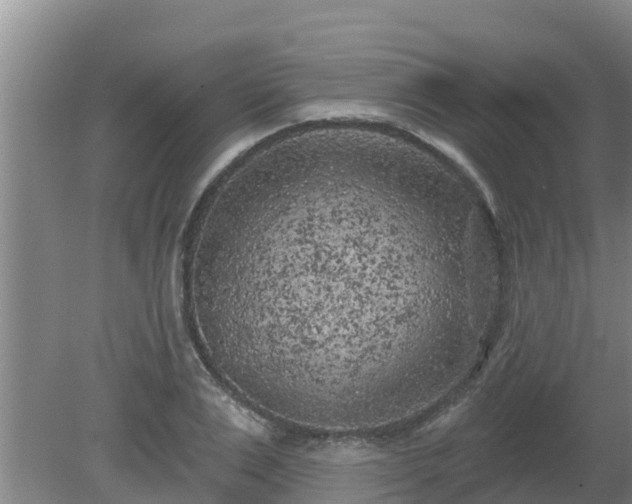 X0000080180983200612151944