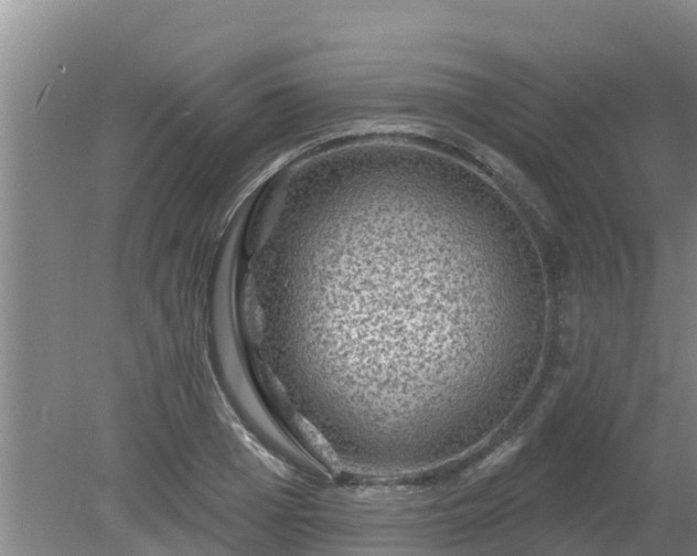 X0000080180985200612151944