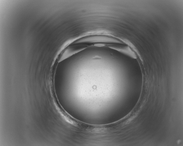 X0000080180989200612151944