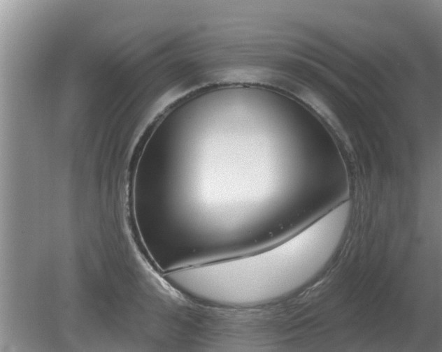 X0000080180992200612151944