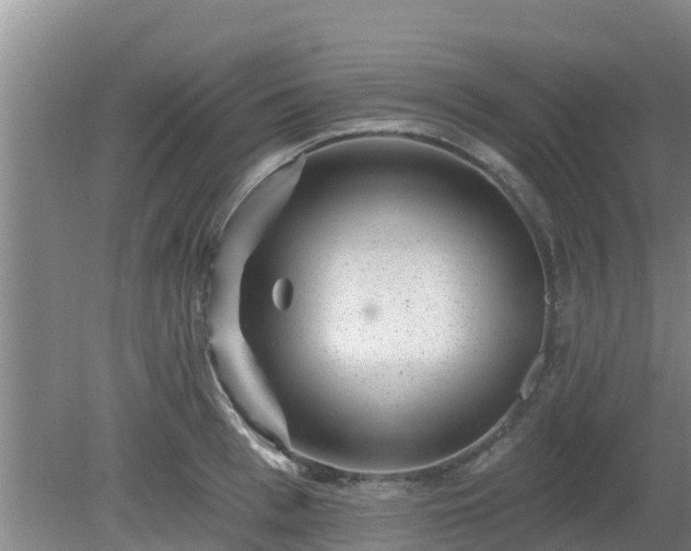 X0000080180993200612151944