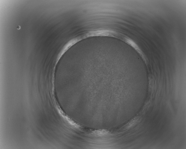 X0000080180994200612151944