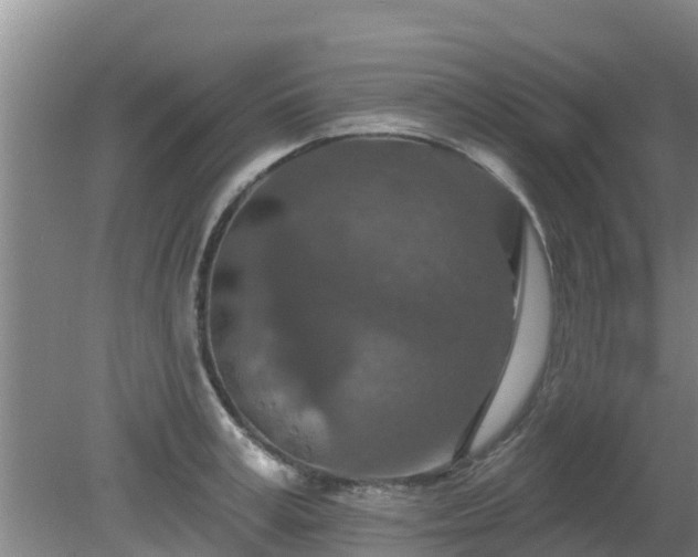 X0000080180995200612151944