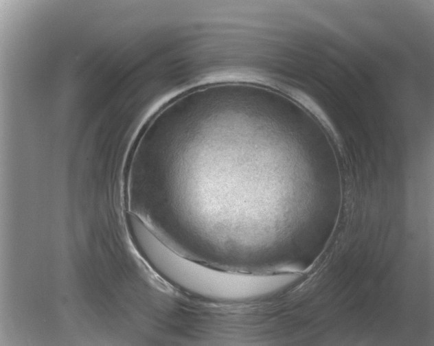 X0000080180996200612151944