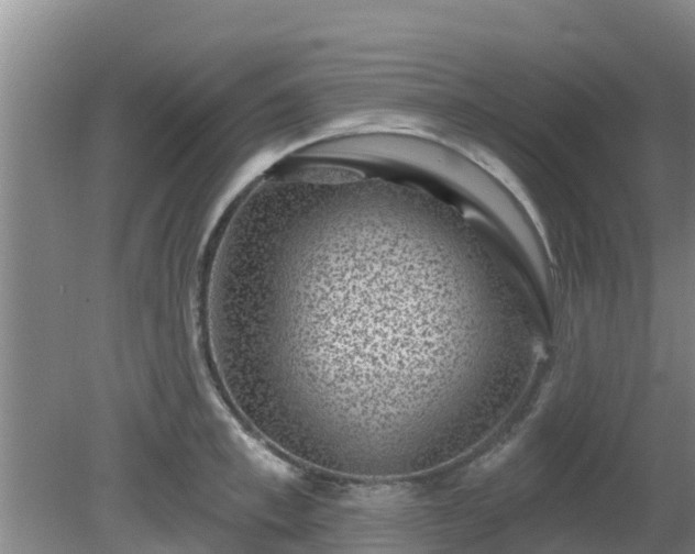 X0000080180997200612151944