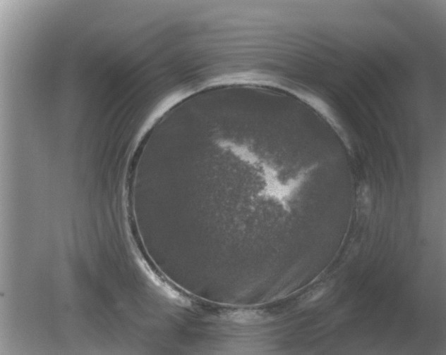 X0000080180998200612151943