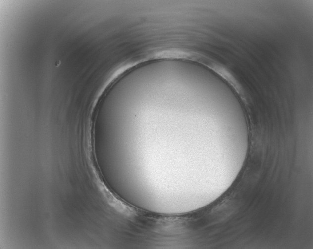 X0000080181000200612151943