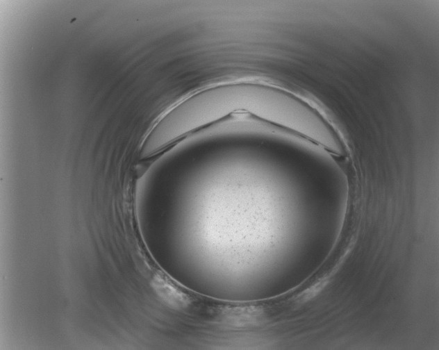 X0000080181001200612151943