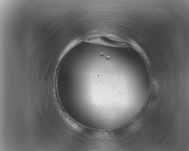 X0000080181002200612151943