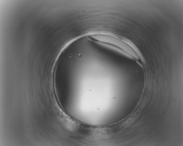 X0000080181004200612151943