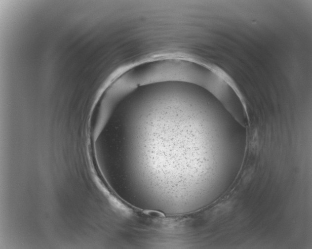 X0000080181005200612151943