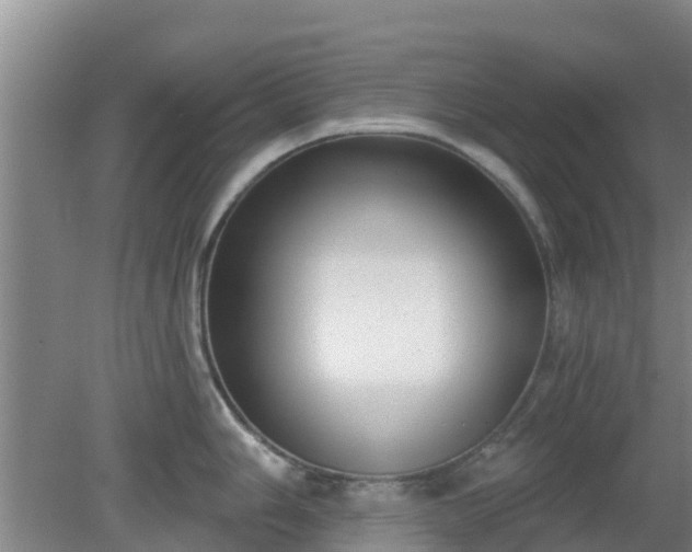 X0000080181006200612151943