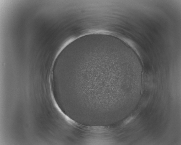 X0000080181007200612151943