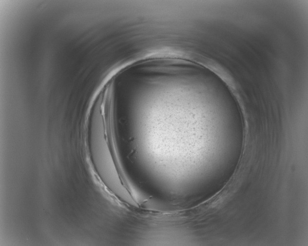 X0000080181008200612151943