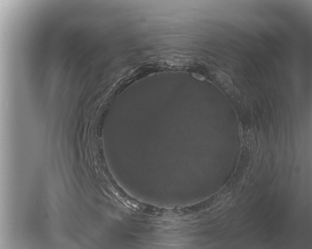 X0000080181009200612151943