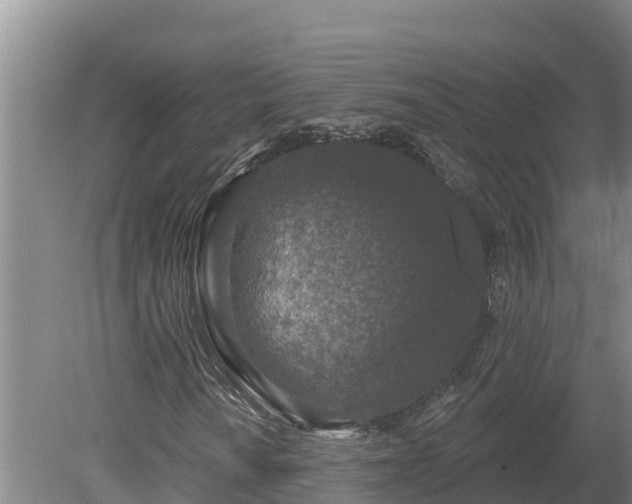 X0000080181010200612151943