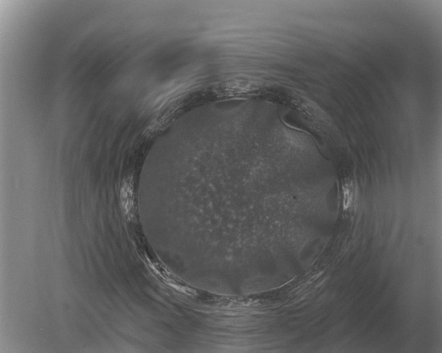 X0000080181011200612151943